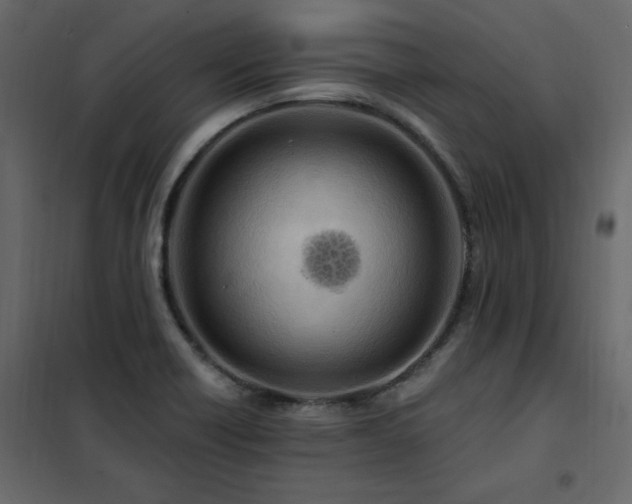X0000102491418200808081318