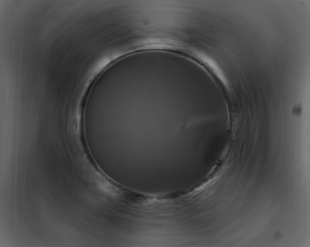 X0000102491419200808081318