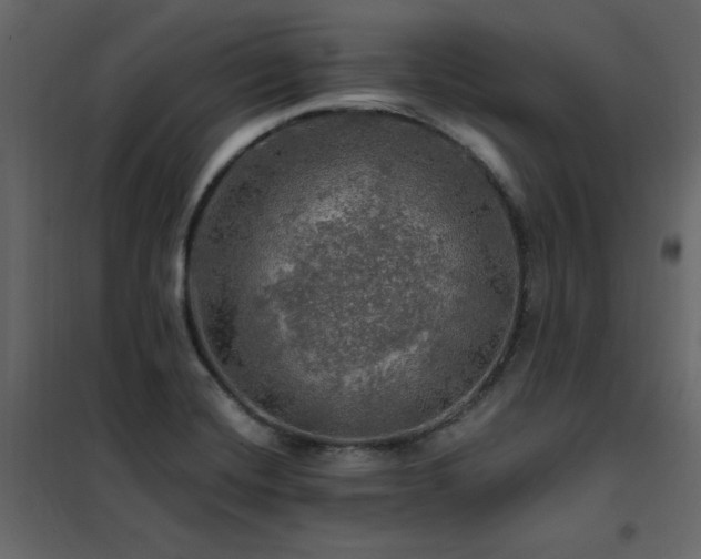 X0000102491420200808081318