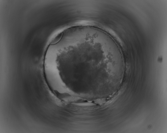 X0000102491421200808081318