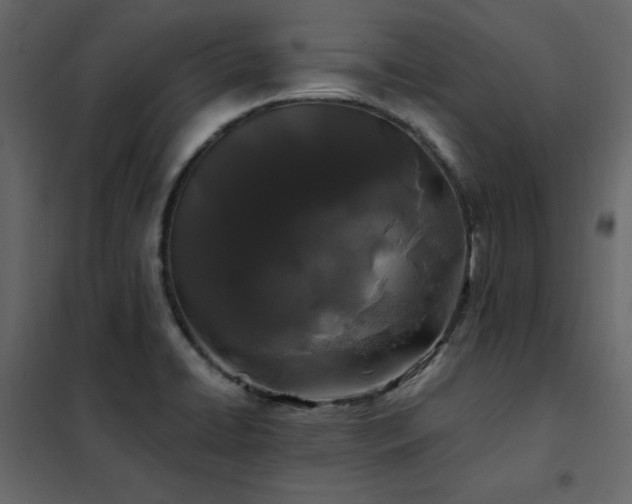 X0000102491422200808081318