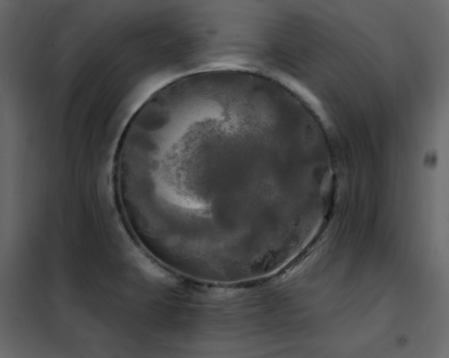 X0000102491423200808081318