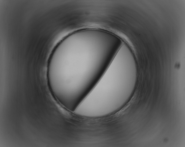 X0000102491424200808081318