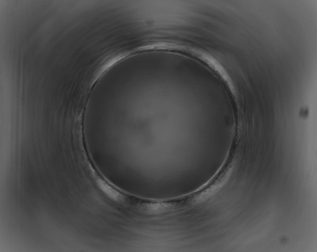 X0000102491425200808081318