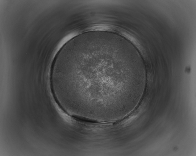 X0000102491426200808081318