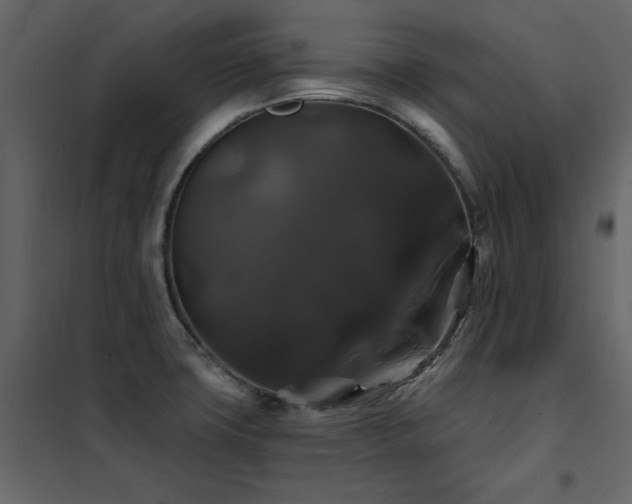 X0000102491427200808081318