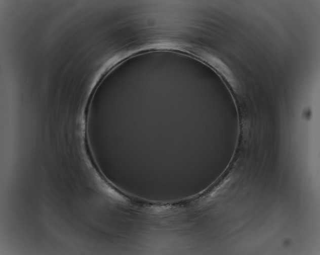 X0000102491428200808081318