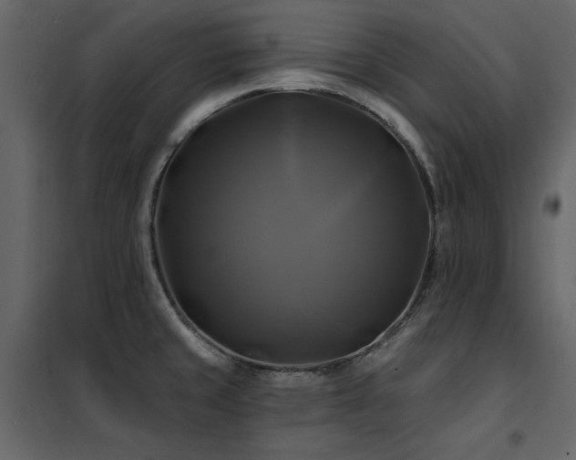 X0000102491429200808081318