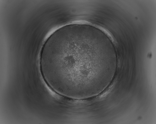 X0000102491430200808081318