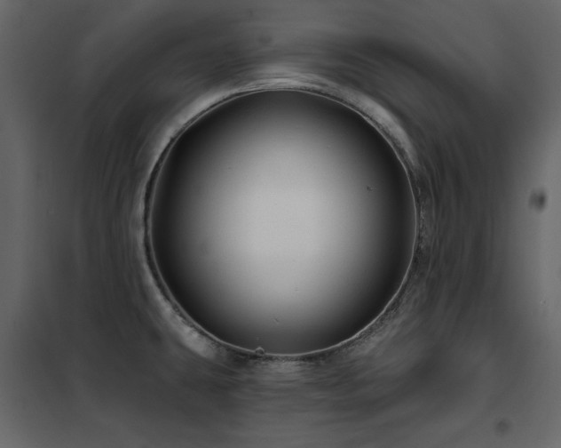 X0000102491431200808081318