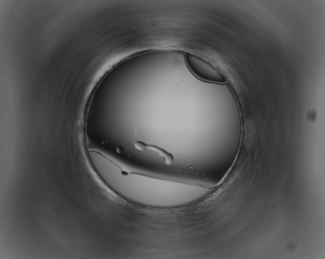 X0000102491432200808081318