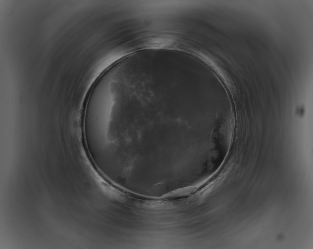 X0000102491434200808081318