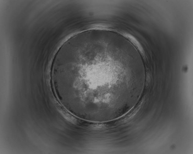 X0000102491435200808081318