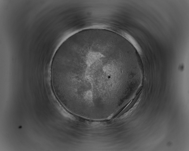 X0000102491436200808081318