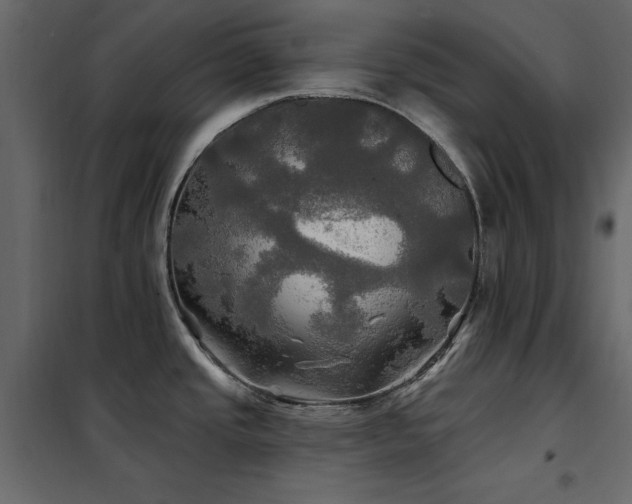 X0000102491437200808081318