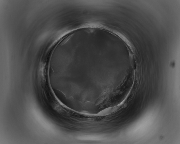 X0000102491438200808081318