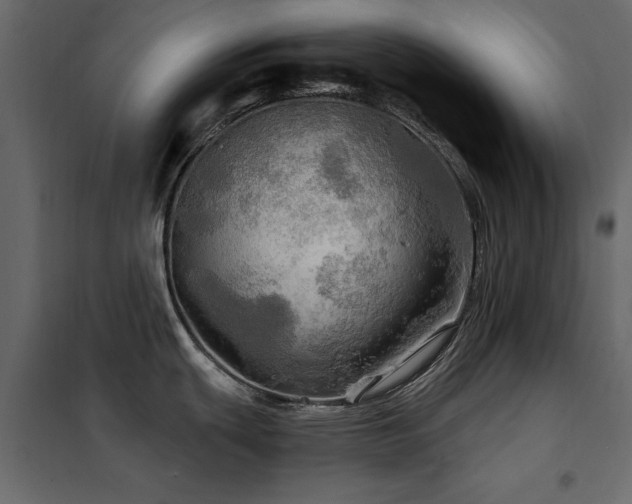X0000102491439200808081318