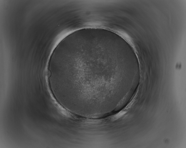 X0000102491440200808081318