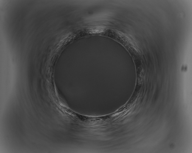 X0000102491441200808081318