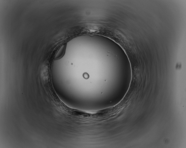 X0000102491442200808081318