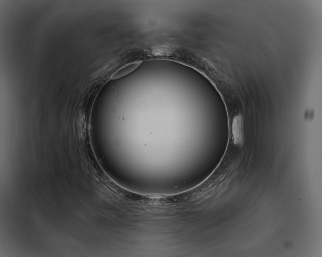 X0000102491443200808081318