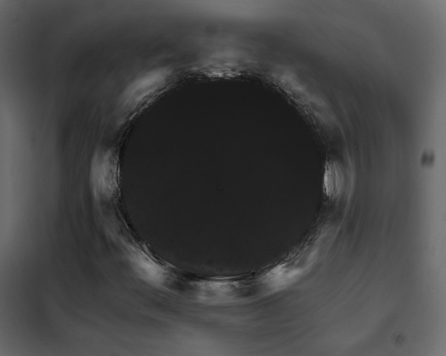X0000102491444200808081318