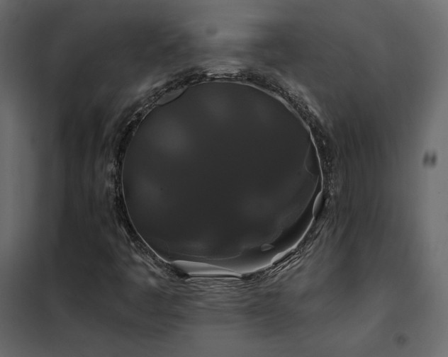 X0000102491445200808081318