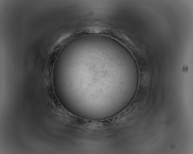 X0000102491446200808081318