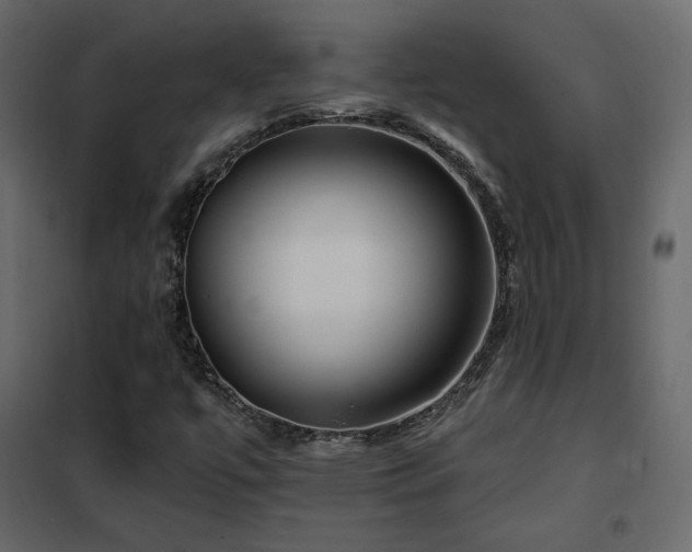 X0000102491447200808081318