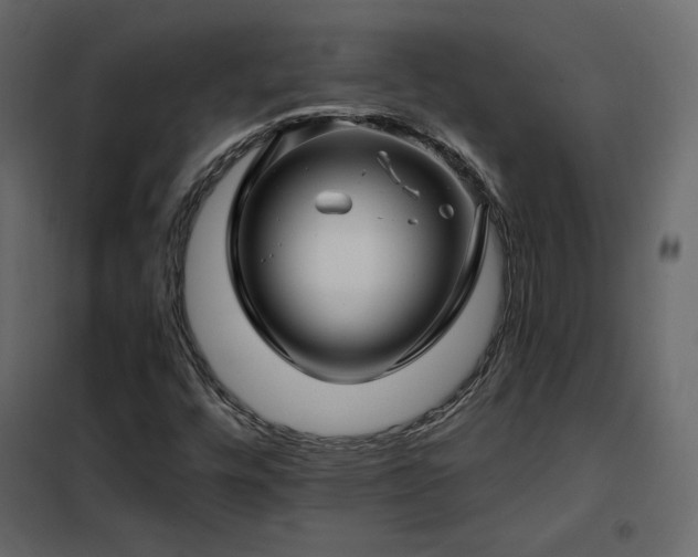 X0000102491448200808081318