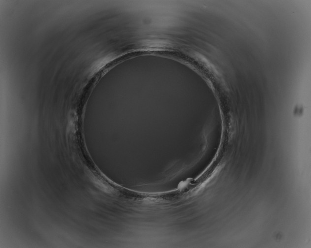 X0000102491449200808081318