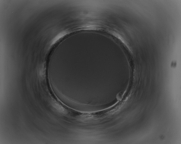 X0000102491450200808081318