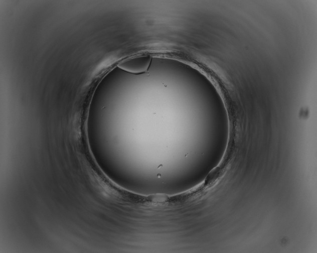 X0000102491451200808081318