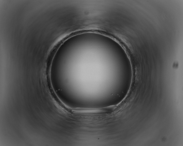 X0000102491452200808081317