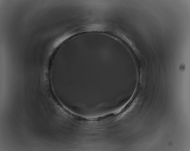 X0000102491453200808081317