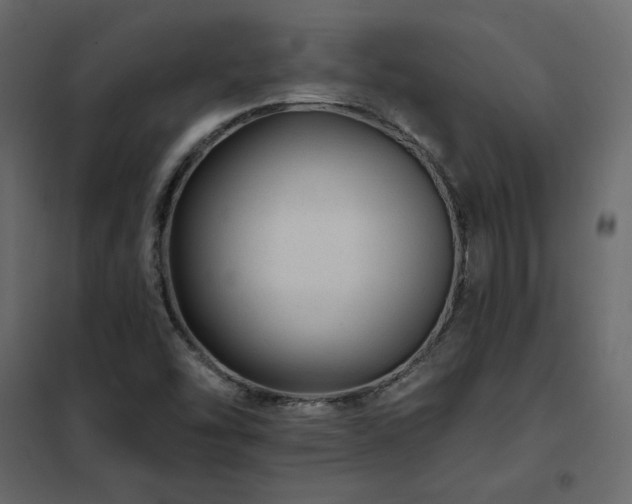 X0000102491454200808081317