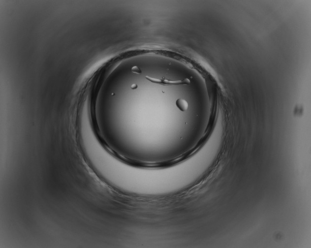 X0000102491456200808081317