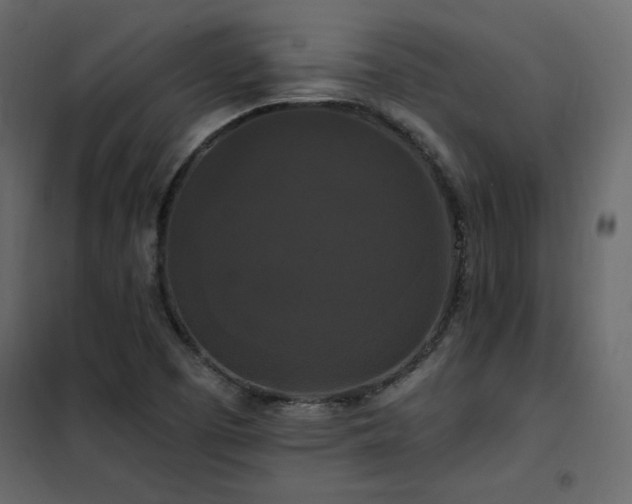 X0000102491457200808081317