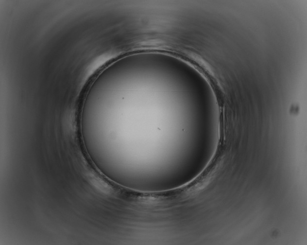 X0000102491458200808081317