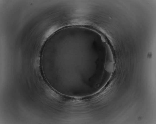 X0000102491459200808081317