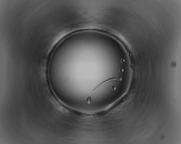 X0000102491460200808081317