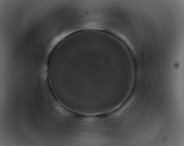 X0000102491461200808081317