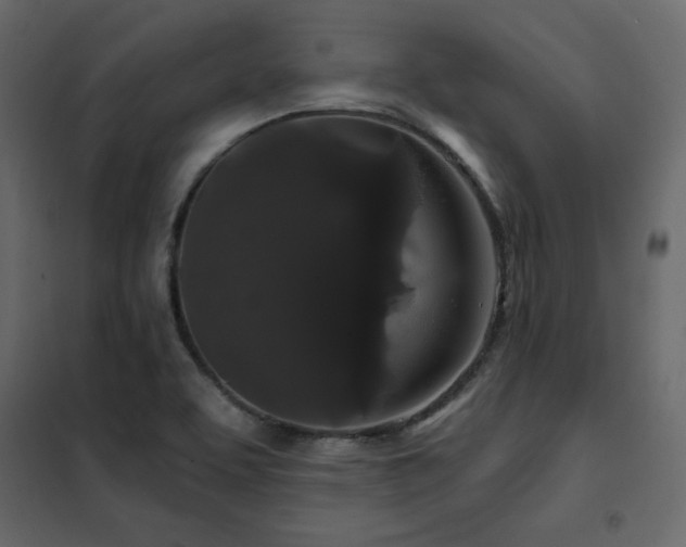 X0000102491463200808081317