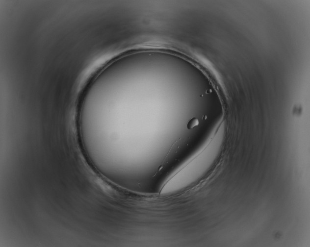 X0000102491464200808081317