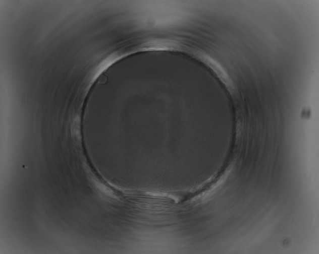 X0000102491465200808081317