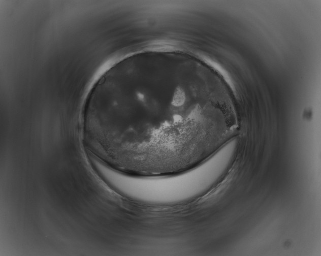 X0000102491467200808081317