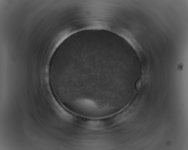 X0000102491468200808081317