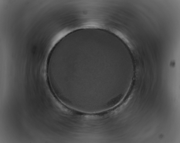 X0000102491469200808081317