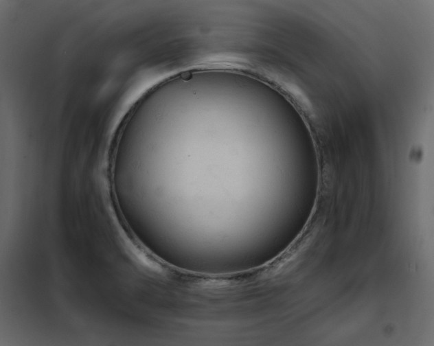 X0000102491470200808081317