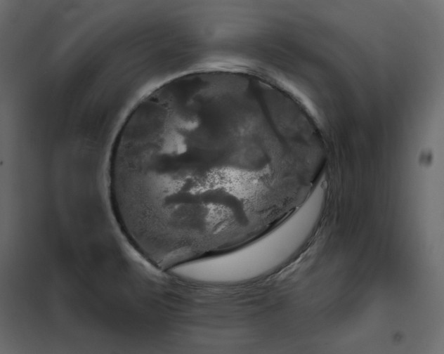 X0000102491471200808081317